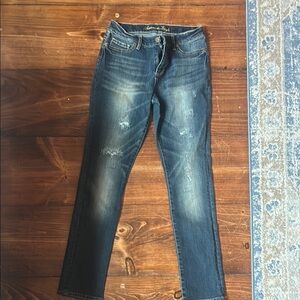 American Eagle Outfitters Blue Slim Jeggings Vintage Wash